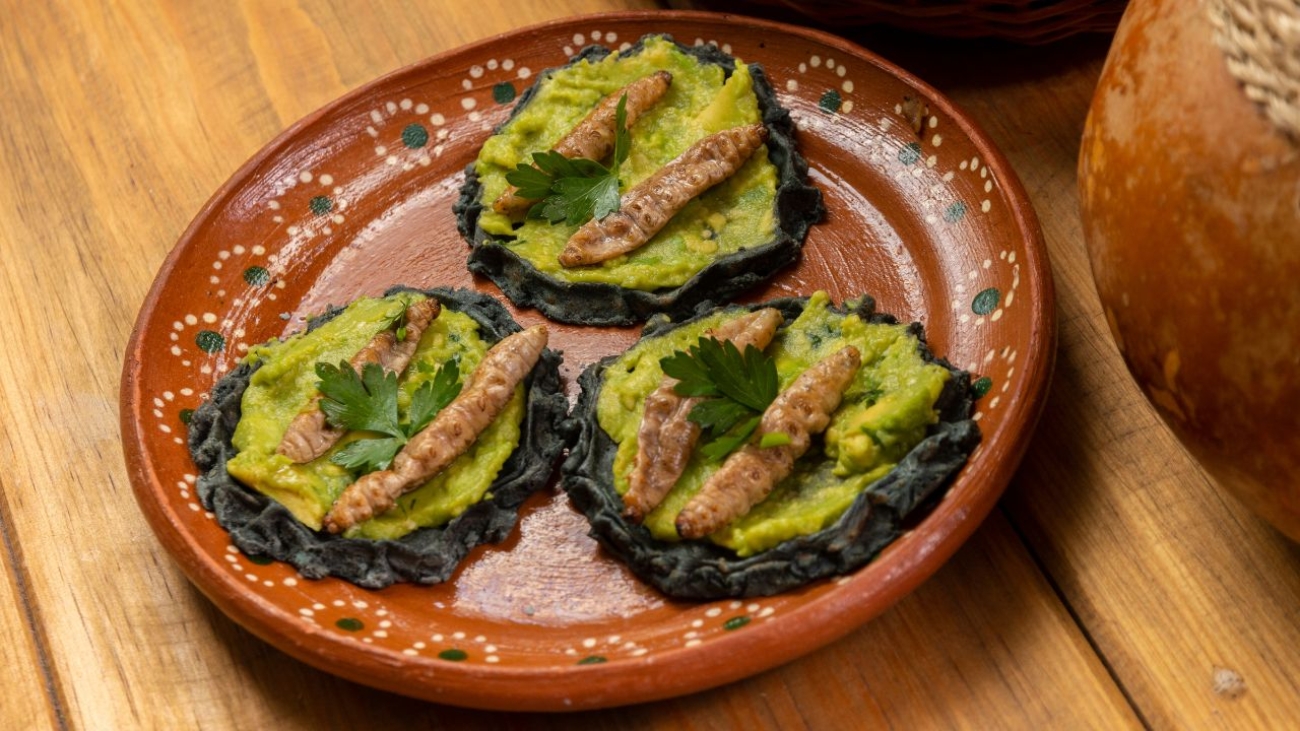 Robaki w kuchni: innowacyjne i smaczne przepisy z owadami