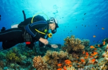 Najlepsze akcesoria do nurkowania, które warto mieć