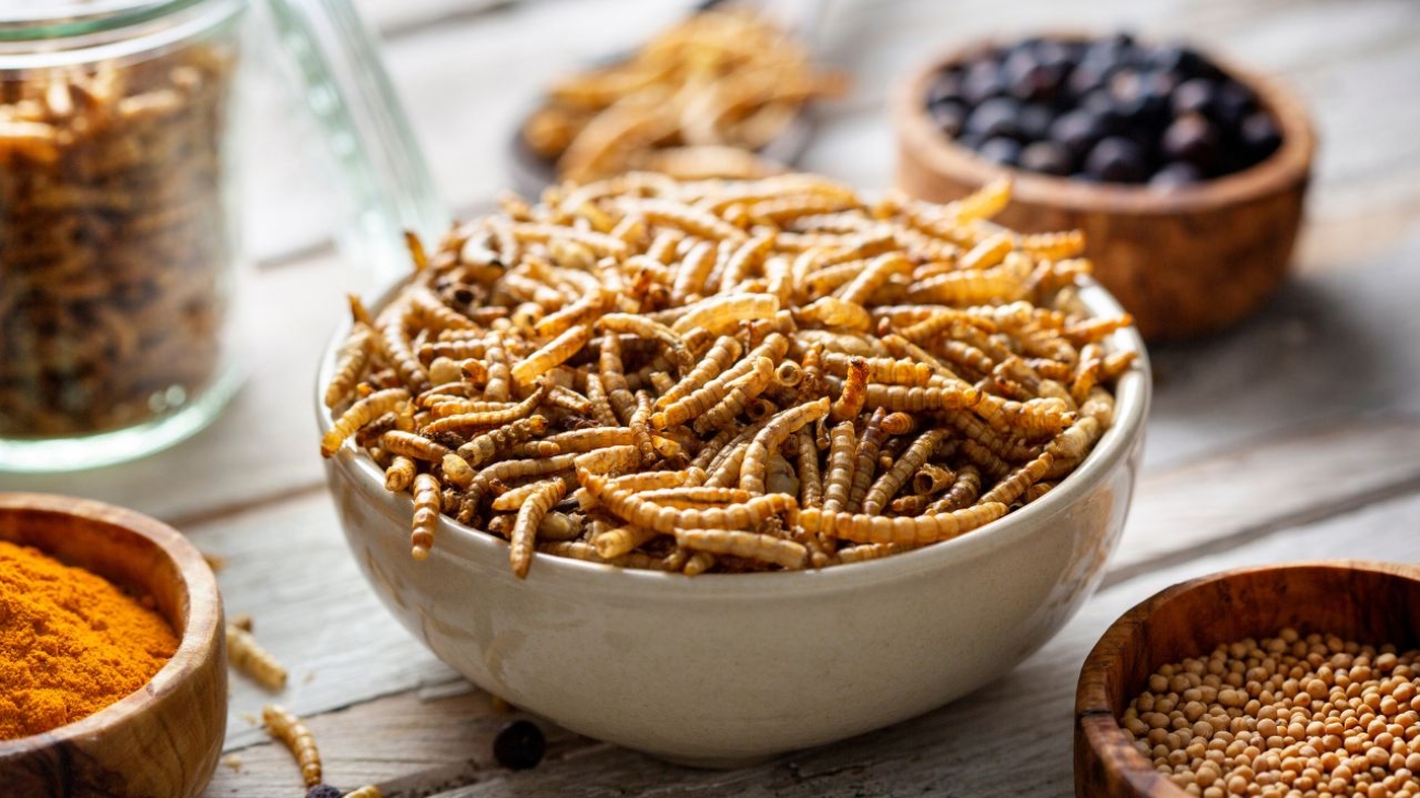 Zaskakujące korzyści zdrowotne spożywania owadów: Co nauka mówi o nowym Superfood?