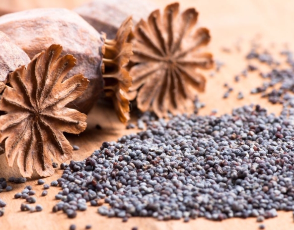 Tradycyjne i nowatorskie sposoby wykorzystania maku w codziennym gotowaniu