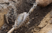 Nowoczesne technologie w przewiertach sterowanych HDD doskonałe narzędzia budowlane