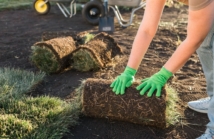 Porównanie zakładania trawnika z siewu i z rolki: która metoda jest lepsza?