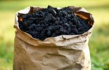 Od czego zależy cena węgla