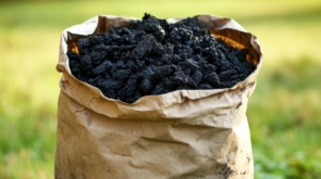 Od czego zależy cena węgla